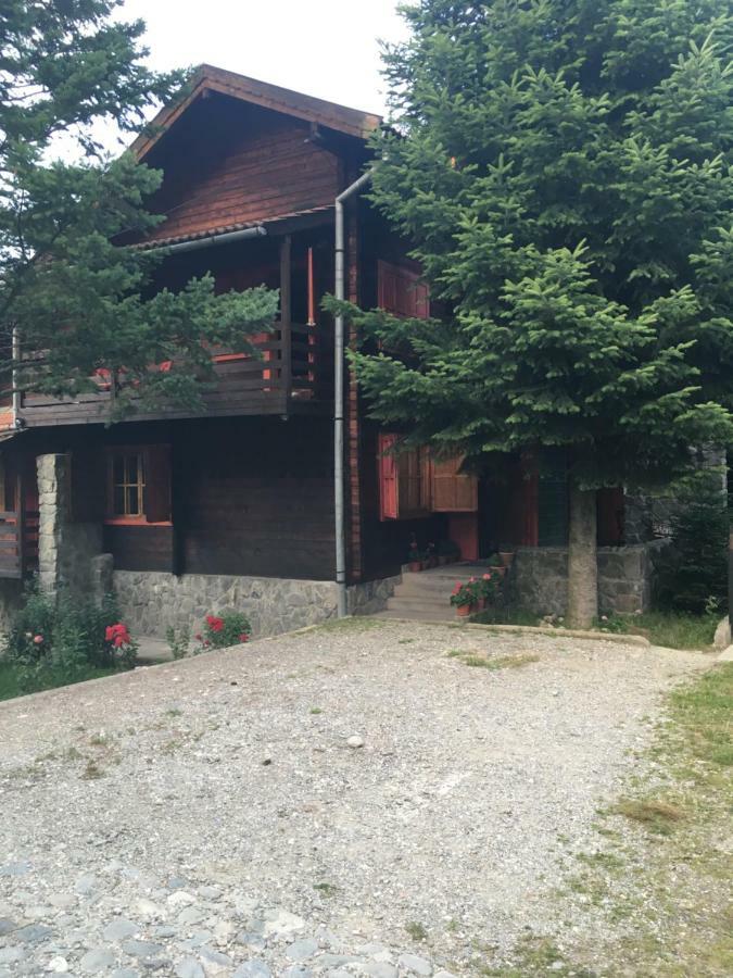 Cabana Sabrina Villa Bran  Exterior photo